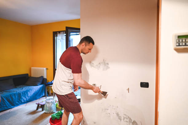 Best Basement Mold Remediation in Radium Springs, NM